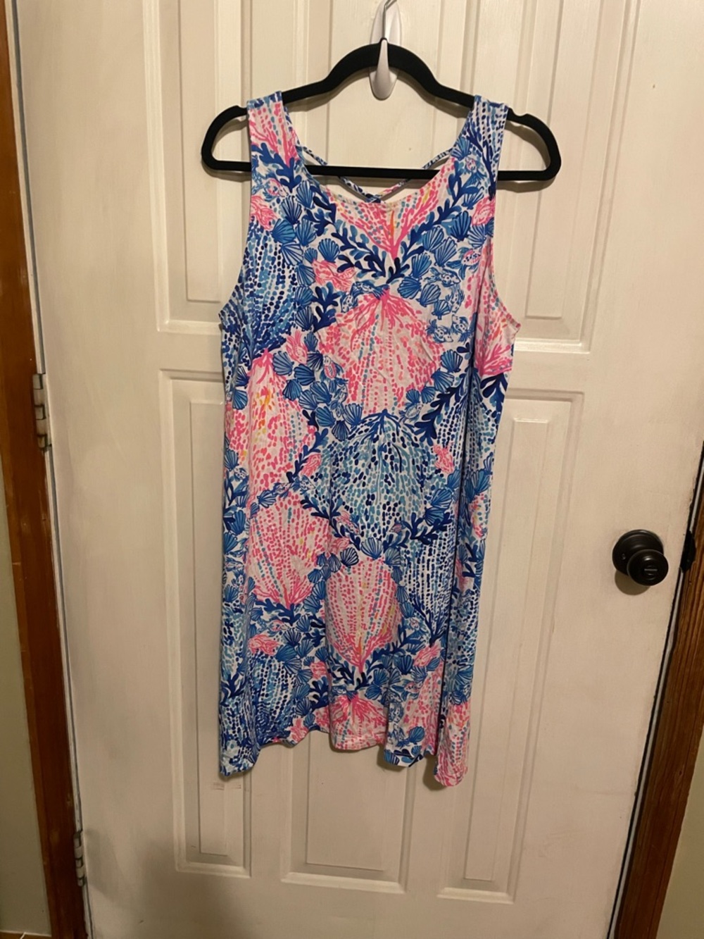 Lilly Pulitzer kristen dress